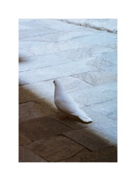 Anna Kereszty